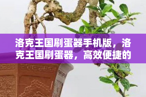 洛克王国刷蛋器手机版，洛克王国刷蛋器，高效便捷的游戏工具