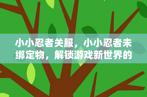小小忍者关服，小小忍者未绑定物，解锁游戏新世界的钥匙