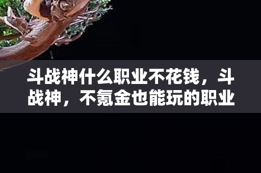 斗战神什么职业不花钱，斗战神，不氪金也能玩的职业推荐