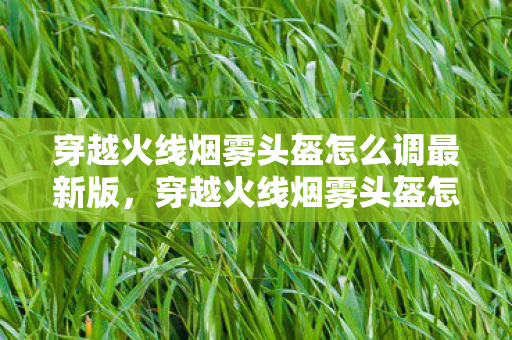 穿越火线烟雾头盔怎么调最新版，穿越火线烟雾头盔怎么调