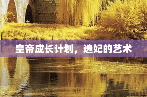 皇帝成长计划，选妃的艺术