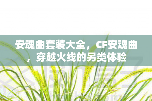 安魂曲套装大全，CF安魂曲，穿越火线的另类体验
