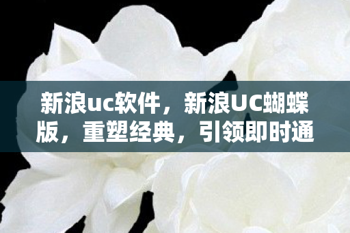 新浪uc软件，新浪UC蝴蝶版，重塑经典，引领即时通讯新风尚