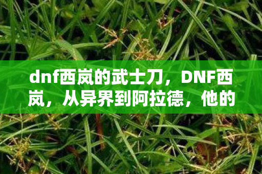 dnf西岚的武士刀，DNF西岚，从异界到阿拉德，他的传奇故事