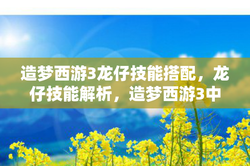 造梦西游3龙仔技能搭配，龙仔技能解析，造梦西游3中的战斗艺术