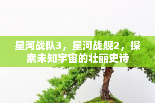 星河战队3，星河战舰2，探索未知宇宙的壮丽史诗