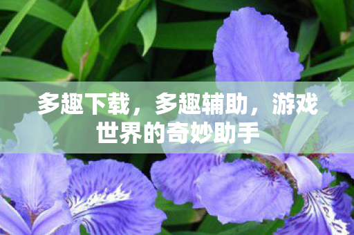 多趣下载，多趣辅助，游戏世界的奇妙助手