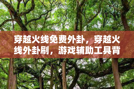 穿越火线免费外卦，穿越火线外卦刷，游戏辅助工具背后的灰色地带