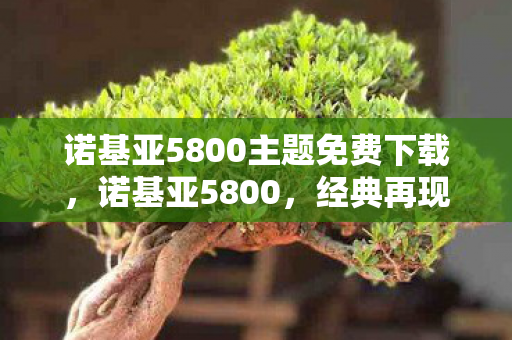 诺基亚5800主题免费下载，诺基亚5800，经典再现，重塑手机传奇