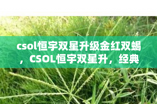 csol恒宇双星升级金红双蝎，CSOL恒宇双星升，经典武器的传奇故事