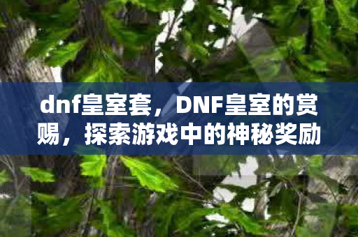 dnf皇室套，DNF皇室的赏赐，探索游戏中的神秘奖励与丰厚福利