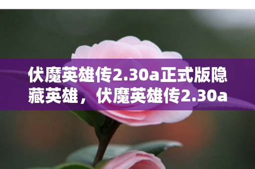 伏魔英雄传2.30a正式版隐藏英雄，伏魔英雄传2.30a，重温经典，探索未知