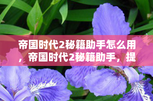 帝国时代2秘籍助手怎么用，帝国时代2秘籍助手，提升游戏乐趣的得力助手