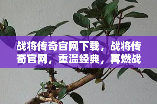 战将传奇官网下载，战将传奇官网，重温经典，再燃战火