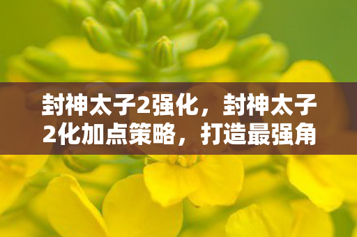 封神太子2强化，封神太子2化加点策略，打造最强角色，征服神魔世界