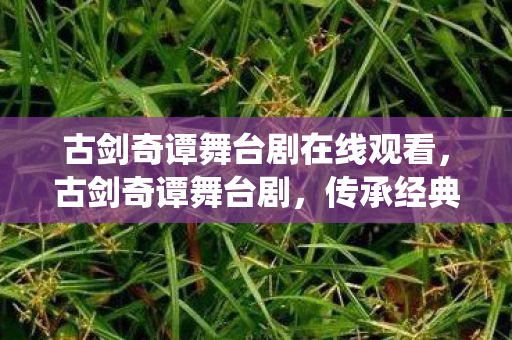 古剑奇谭舞台剧在线观看，古剑奇谭舞台剧，传承经典，创新演绎