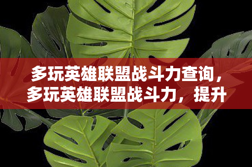 多玩英雄联盟战斗力查询，多玩英雄联盟战斗力，提升技巧与策略