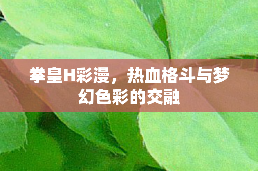 拳皇H彩漫，热血格斗与梦幻色彩的交融