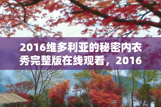 2016维多利亚的秘密内衣秀完整版在线观看，2016维多利亚的秘密内衣秀，一场视觉盛宴的全方位回顾