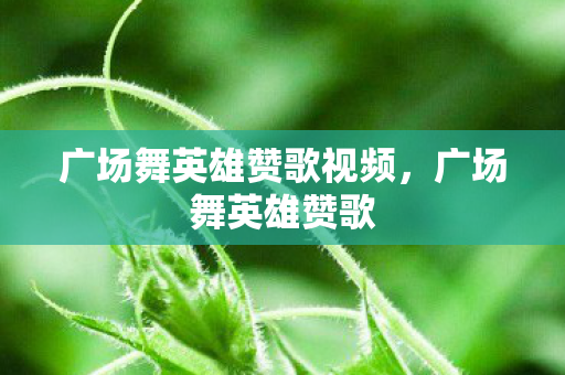 广场舞英雄赞歌视频，广场舞英雄赞歌