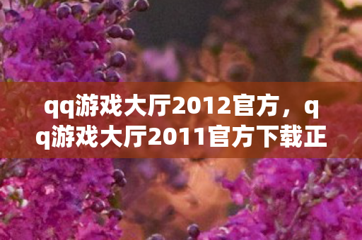 qq游戏大厅2012官方，qq游戏大厅2011官方下载正式版，重温经典，畅享游戏盛宴