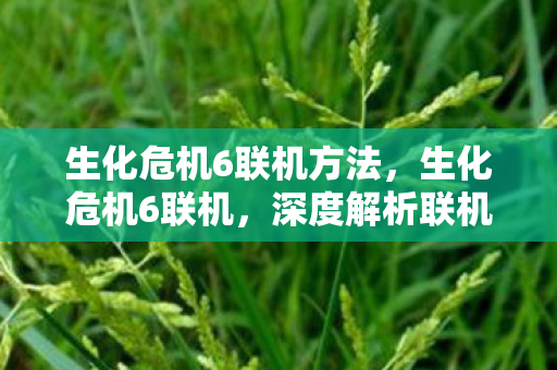 生化危机6联机方法，生化危机6联机，深度解析联机体验与策略