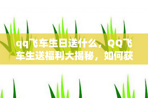 qq飞车生日送什么，QQ飞车生送福利大揭秘，如何获取超值游戏道具与惊喜好礼？
