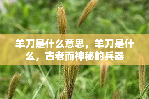 羊刀是什么意思，羊刀是什么，古老而神秘的兵器