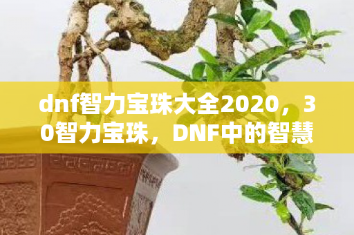 dnf智力宝珠大全2020，30智力宝珠，DNF中的智慧之光