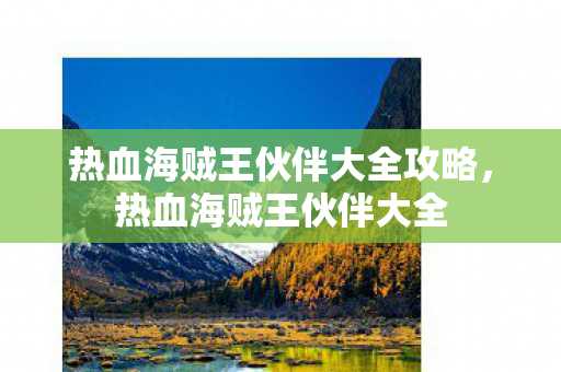 热血海贼王伙伴大全攻略，热血海贼王伙伴大全