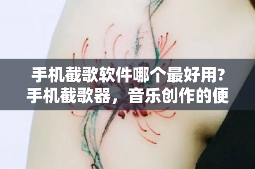 手机截歌软件哪个最好用?手机截歌器，音乐创作的便捷新工具