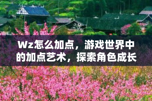 Wz怎么加点，游戏世界中的加点艺术，探索角色成长的无限可能