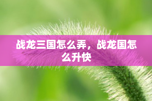 战龙三国怎么弄，战龙国怎么升快