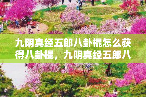 九阴真经五郎八卦棍怎么获得八卦棍，九阴真经五郎八卦棍，武侠世界中的绝世神兵