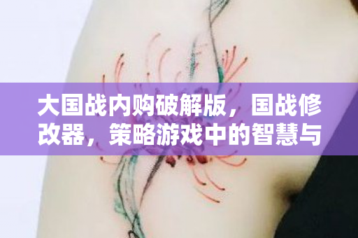 大国战内购破解版，国战修改器，策略游戏中的智慧与力量
