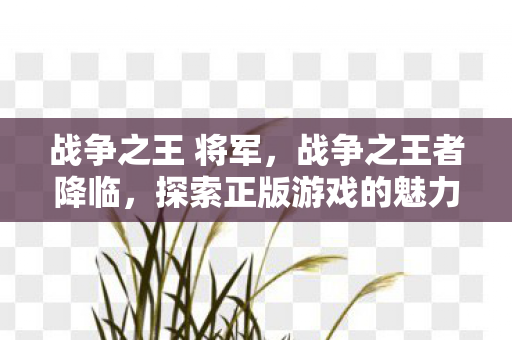 战争之王 将军，战争之王者降临，探索正版游戏的魅力与未来