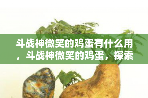 斗战神微笑的鸡蛋有什么用，斗战神微笑的鸡蛋，探索游戏世界的无限可能