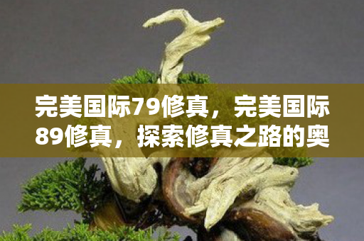 完美国际79修真，完美国际89修真，探索修真之路的奥秘