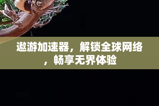 遨游加速器，解锁全球网络，畅享无界体验