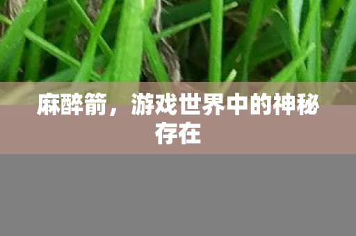 麻醉箭，游戏世界中的神秘存在