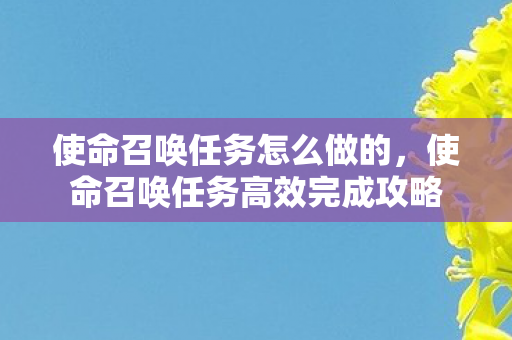 使命召唤任务怎么做的，使命召唤任务高效完成攻略