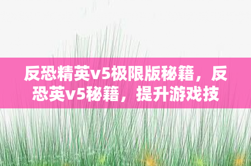 反恐精英v5极限版秘籍，反恐英v5秘籍，提升游戏技巧与策略的全面指南