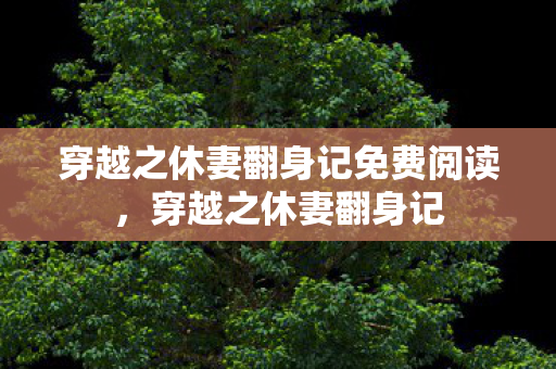 穿越之休妻翻身记免费阅读，穿越之休妻翻身记
