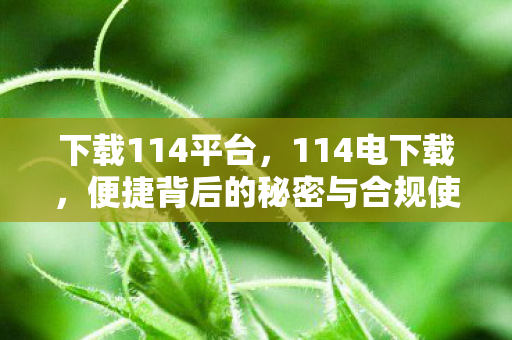 下载114平台，114电下载，便捷背后的秘密与合规使用探讨