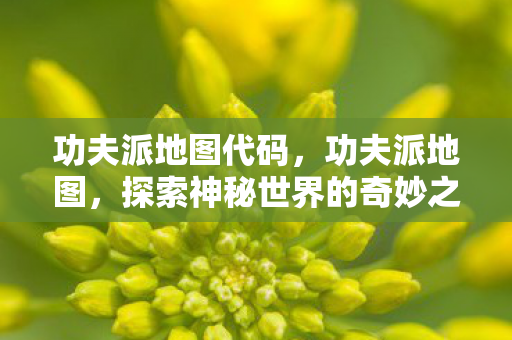 功夫派地图代码，功夫派地图，探索神秘世界的奇妙之旅