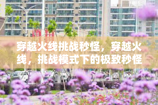 穿越火线挑战秒怪，穿越火线，挑战模式下的极致秒怪体验