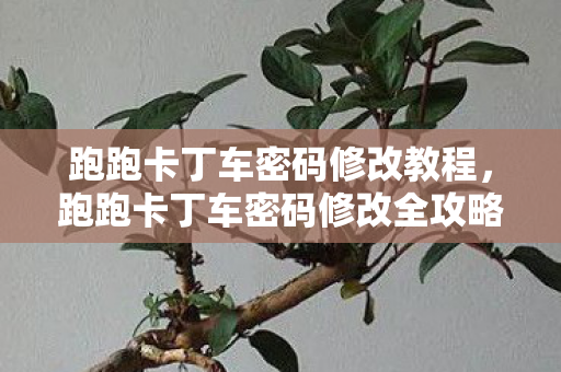 跑跑卡丁车密码修改教程，跑跑卡丁车密码修改全攻略，安全高效，轻松搞定！