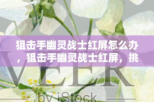 狙击手幽灵战士红屏怎么办，狙击手幽灵战士红屏，挑战与机遇并存的游戏体验