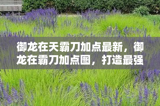 御龙在天霸刀加点最新，御龙在霸刀加点图，打造最强角色的关键策略