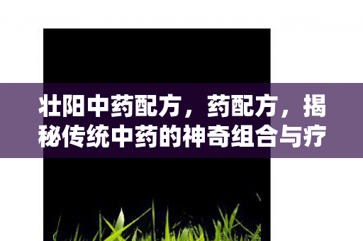 壮阳中药配方，药配方，揭秘传统中药的神奇组合与疗效
